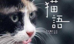 猫之城最新爆料视频大全,最新爆料视频大盘点
